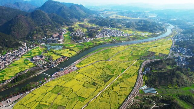 Wuyuan County Rapeseed Fields and River Village in Jiangxi China in Wuyuan County, Jiangxi, China