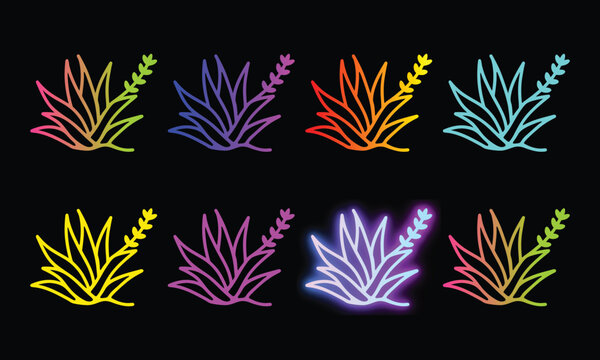 Stylized agave plants in bright gradient colors on black background.