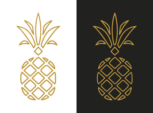 Minimalist Gold Pineapple Icon Set on Black and White Backgrounds
