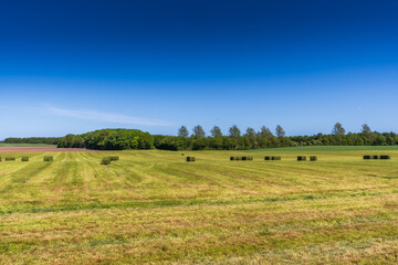 Fototapeta premium Scattered green square hay bales on a vast agricultural field under a clear blue sky