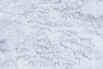 Obraz premium Close-up view of granular snow and icy crystals on the ground, showing powder, frost and subtle ridges. Soft white winter texture ideal for backgrounds, nature projects and cold season designs