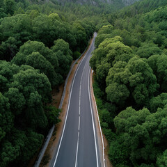 Fototapeta premium Winding road forest aerial green tree nature landscape summer travel scenic outdoor peaceful view