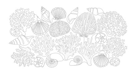 Hand Drawn Seashells and Coral Reef Elements Line Art Illustration © lili
