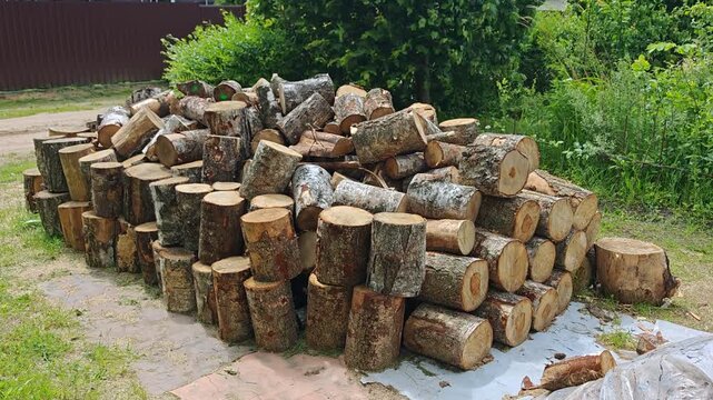Next to the bushes on the grass there are stacked deck cut from birch logs. They will be chopped into firewood to heat buildings. Nearby there is a houses, fence and dirt road. Sunny and windy summer