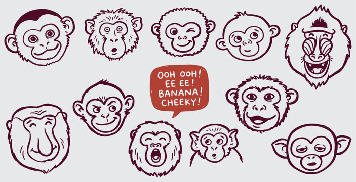 Collection of cartoon monkey faces with various expressions and a speech bubble.