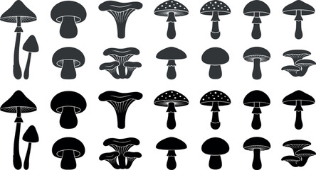 Mushroom silhouette vector icons set with forest fungi amanita chanterelle portobello shapes and textured stamps isolated on a flat white background. © MdShakib