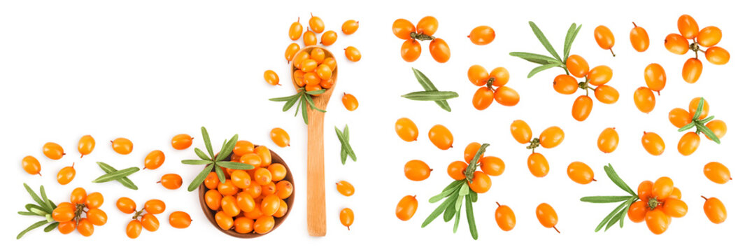 Sea buckthorn in wooden bowl. Fresh ripe berry with leaves isolated on white background with copy space for your text. Top view. Flat lay
