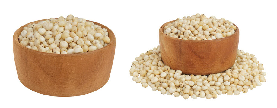 Sorghum seeds in wooden bowl isolated on white background with full depth of field.