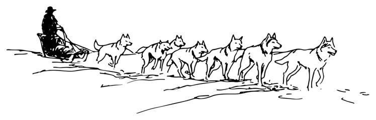 Sled dogs pulling a musher across snowy terrain in hand drawn sketch style © Celestynka