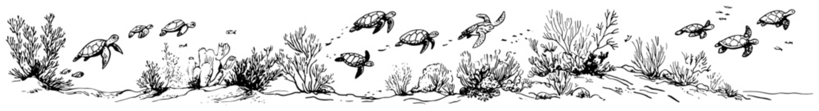 Sea turtles swimming over coral reefs in the ocean panorama minimalist hand drawn sketch style