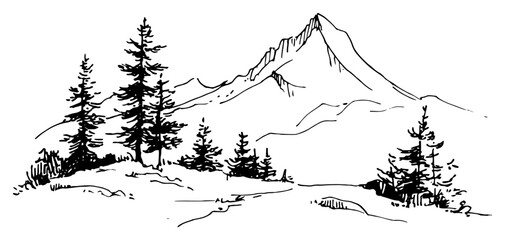 Pine trees in front of high mountain peak minimalist hand drawn sketch style © Celestynka