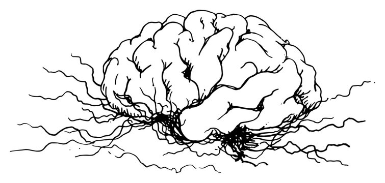 Human brain with connecting neural roots and nerves minimalist hand drawn sketch style