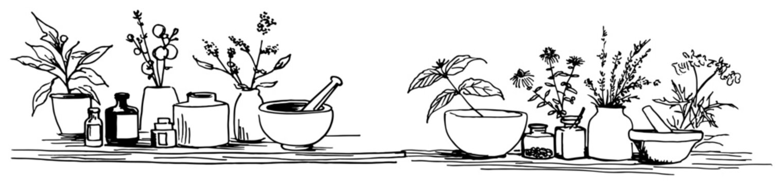 Herbal medicine bottles with mortar pestle and various plants on a table minimalist sketch style