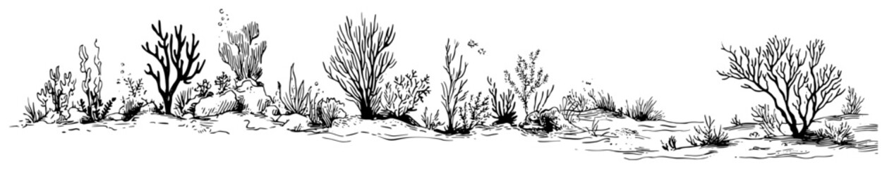 Coral reef with underwater plants and sea life panorama minimalist hand drawn sketch style © Celestynka