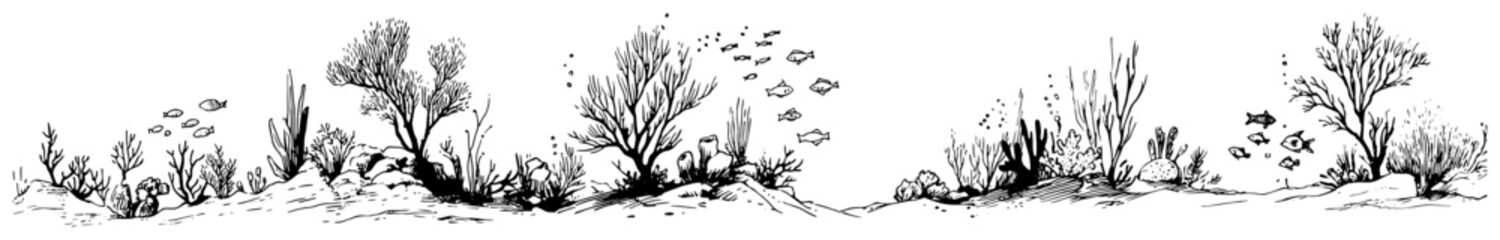Underwater coral reef with schools of fish panorama minimalist hand drawn sketch style © Celestynka