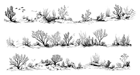 Collection of underwater coral reef scenes with diverse sea plants in black and white line art style © Celestynka
