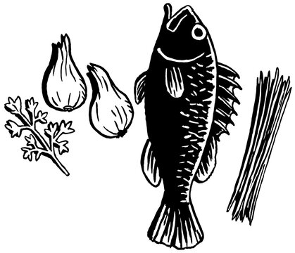 Rotbarsch mit Schnittlauch, Petersilie und Zwiebel. Schwarz-Wei&szlig;-Illustration