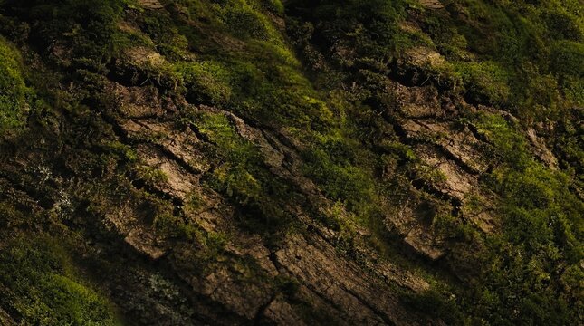 Moss covered rocky cliff texture background