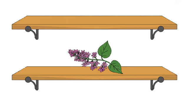 Wooden shelves with metal brackets and lilac branch