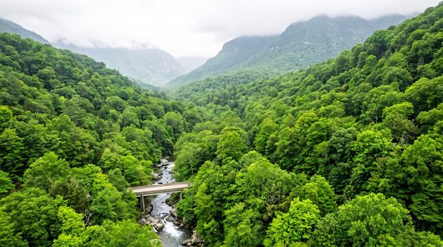 Lush green mountain valley with river and bridge aerial view.
