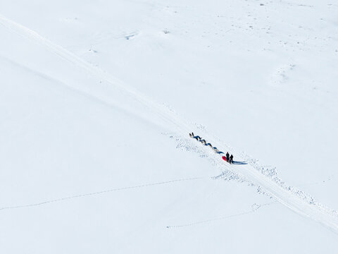 Dog sledding in Buffalo Fork Valley; Jackson Hole; Wyoming