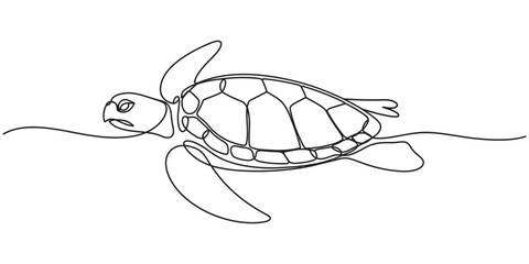 Single line drawing of a sea turtle swimming, minimalist art Vector, illustration, Sea Turtle. Minimalistic one-line drawing sea turtle swimming gracefully with flippers extended, continuous single. © line draw