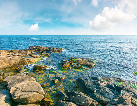 sea coast with stones and boulders in the forenoon. view of beach with rock in seaweed. dynamic cloudscape on the sky over horizon. summer vacations background concept. seaside of bulgaria, europe