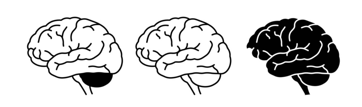 Three monochrome brain illustrations depicting neurological anatomy cognitive function and mental health concepts for medical and scientific use