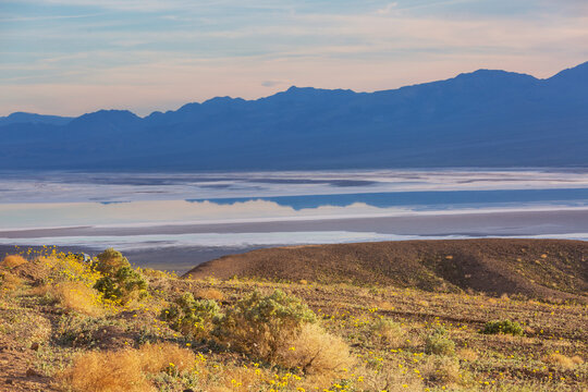 Spring in Death Valley