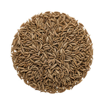 Pile of cumin seeds isolated on transparent background