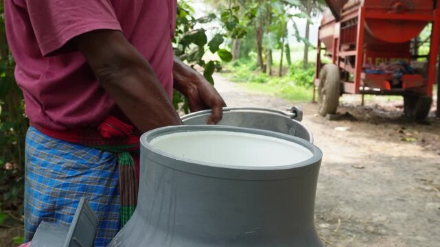 Village Milkman Carefully Collecting Fresh Cow Milk into Steel Buckets