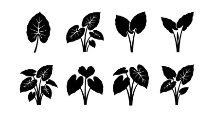 Elephant Ear Plant Silhouettes, Tropical Foliage Icons, Botanical Vector Graphics, Nature Elements © Mitu