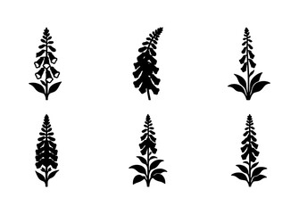 Digitalis Flower Silhouettes, Foxglove Plant Vector Icons, Botanical Illustration Elements, Garden Flora Graphics © Imran