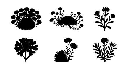 Botanical Silhouettes, Wildflower Vector Icons, Floral Bush Graphics, Nature Plant Elements © Shamima