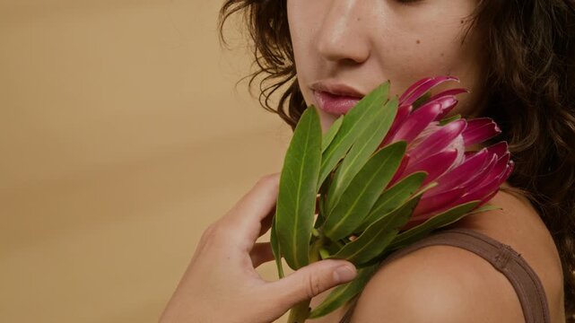 Tilt up close-up view of brunette young woman holding pink protea flower close to her shoulder and running hand up its stem