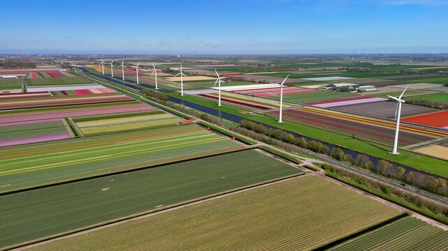 Aerial drone view of renewable energy wind turbines with vibrant tulip fields visible in the background.