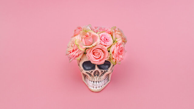 Skeleton with flowers placed on top sits on a pink background during daylight in a simple setup