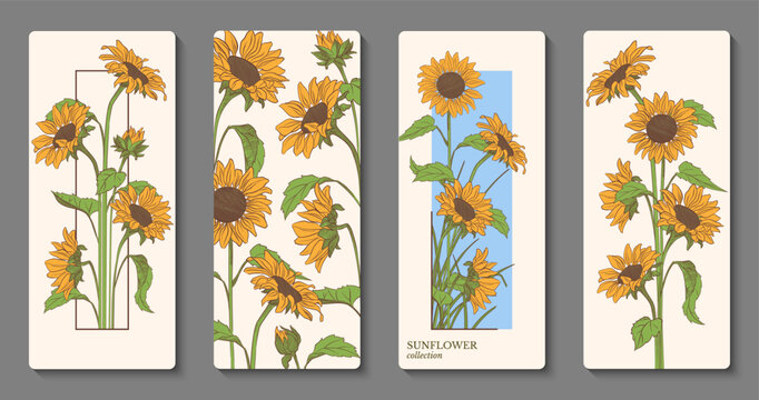 Vintage sunflower banner collection with botanical flowers. Elegant floral vertical card templates. Floral composition for design of bookmark, postcard, poster.