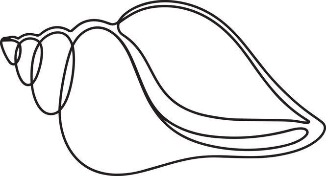 Minimalist line drawing of a seashell