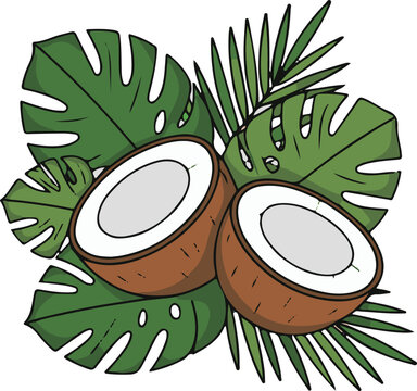 Tropical coconuts and palm leaves, refreshing summer fruit and exotic foliage, healthy, natural, and organic ingredients for healthy lifestyle.