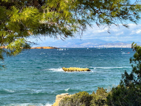 Pine tree and coastal view from Kavouri, Vouliagmeni to Glyfada on the Athens Riviera, Greece. Blue sea and sky