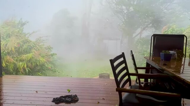 Inside a tornado with hurricane-force winds and torrential rain, trees are being battered with extreme violence in the yard of a house. Extreme weather events caused by climate change.