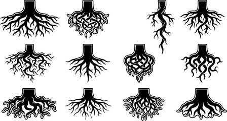 blackandwhite illustrations of various tree root systems in different shapes and sizes  roots © Pixel Verses