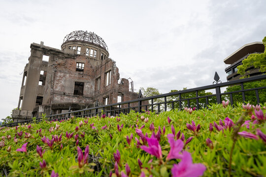 Hiroshima, Japan famous A-Bomb dome (atomic bomb dome) building, with flowers in foreground
