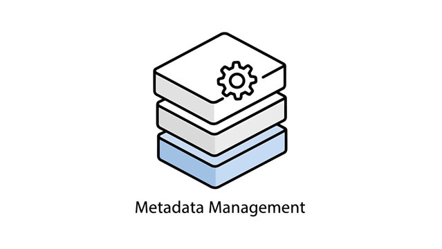 Metadata management isometric icon with metadata management database information organization computing structuring classification indexing software structure optimization technical