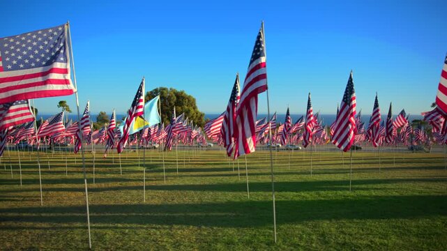 Hundreds of American flags wave majestically on poles across a vast green lawn during golden hour, casting long shadows under a brilliant clear blue sky in this patriotic memorial tribute display.