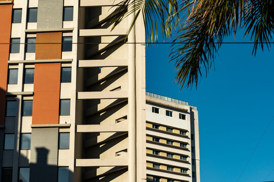 Graphic highrise facade meets palm frond and blue sky with strong stair shadow