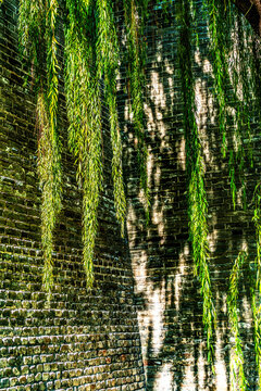 Green Willows Shadows Ancient City Wall Park Beijing China