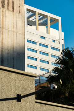 Geometric white tower rises beyond textured wall and palm frond foreground