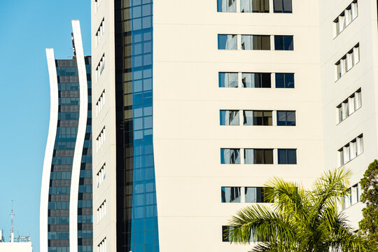 Modern office facades align blue glass and curved tower above palm canopy